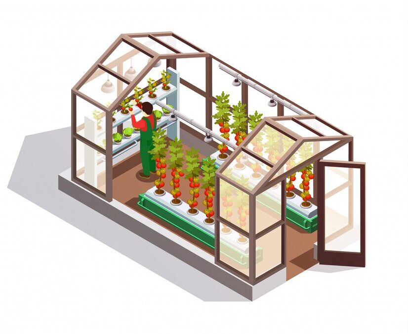 Discover the Joy of Year-Round Gardening with a Quality Greenhouse Kit