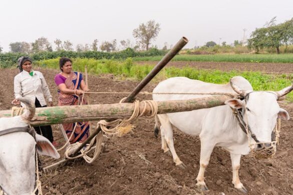 natural fertilizer