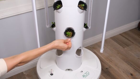 hydroponic tower garden