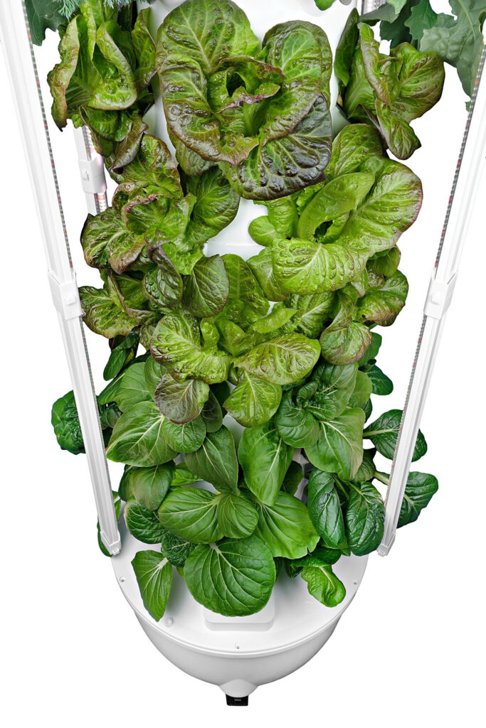 hydroponic tower